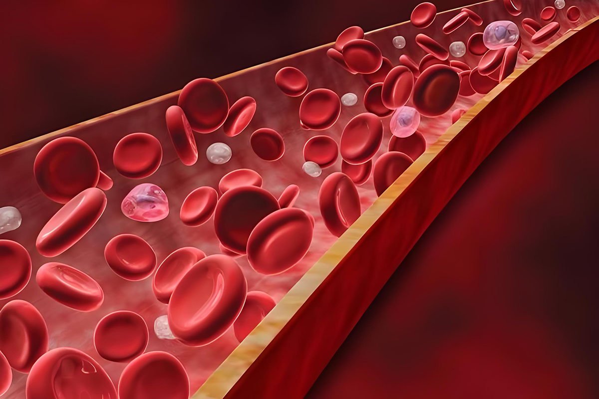 Oxygen Protecting Blood Vessels,The Invisible Guardian of the Life Channel